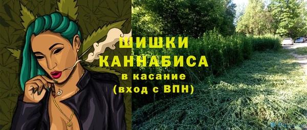 PSILOCYBIN Осинники