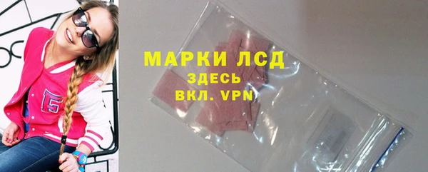 PSILOCYBIN Осинники