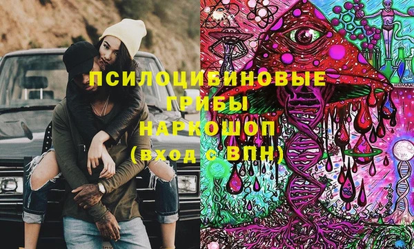 PSILOCYBIN Осинники