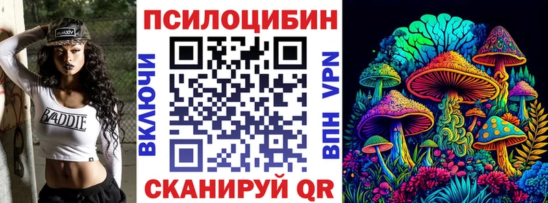 Купить закладки  Суворов  Псилоцибиновые грибы Magic Shrooms 